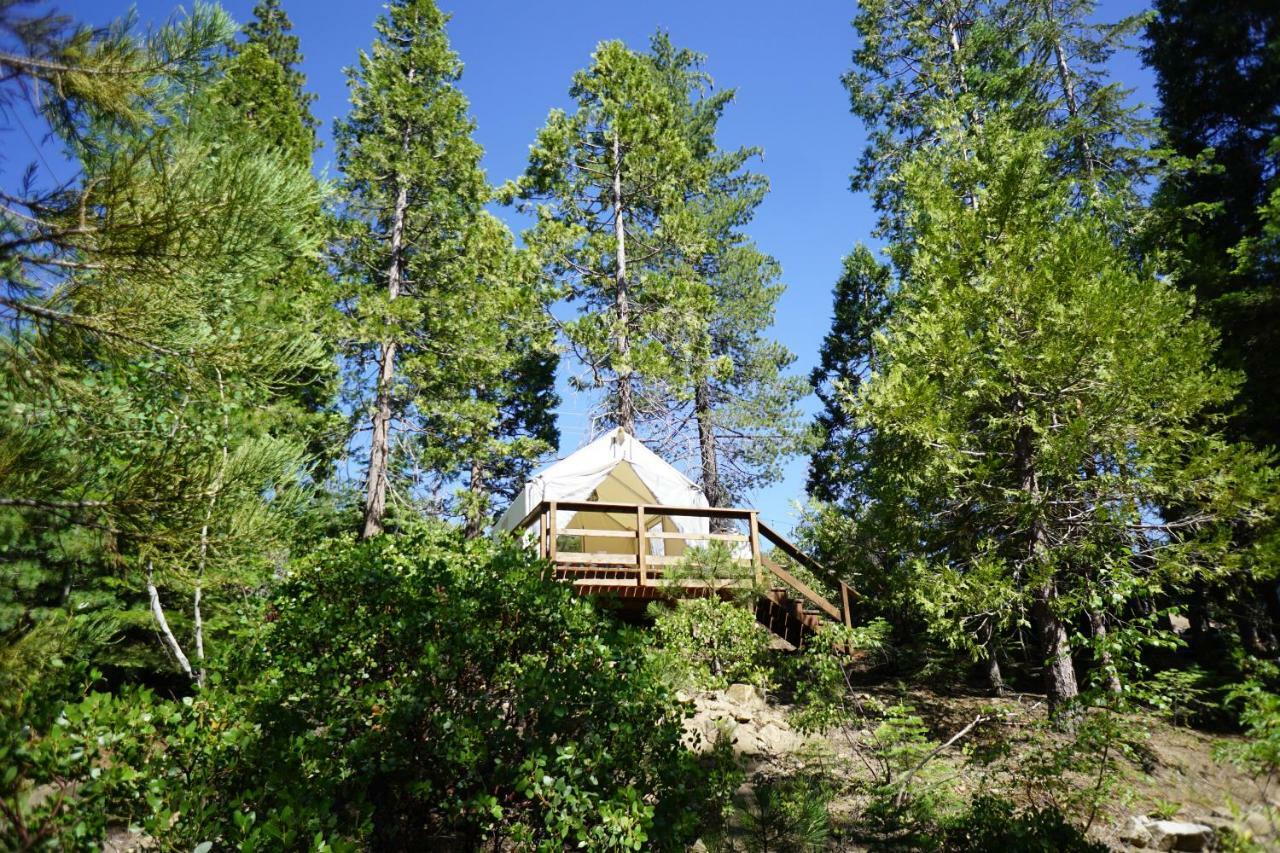 Shaver Lake Village Hotel Екстер'єр фото